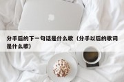 分手后的下一句话是什么歌（分手以后的歌词是什么歌）