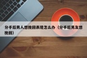 分手后男人想挽回表现怎么办（分手后男友想挽回）