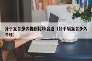 分手复合多久挽回比较合适（分手后复合多久合适）