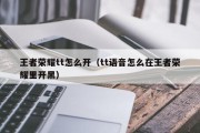 王者荣耀tt怎么开（tt语音怎么在王者荣耀里开黑）